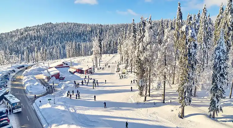 Ferienwohnung in Langdorf