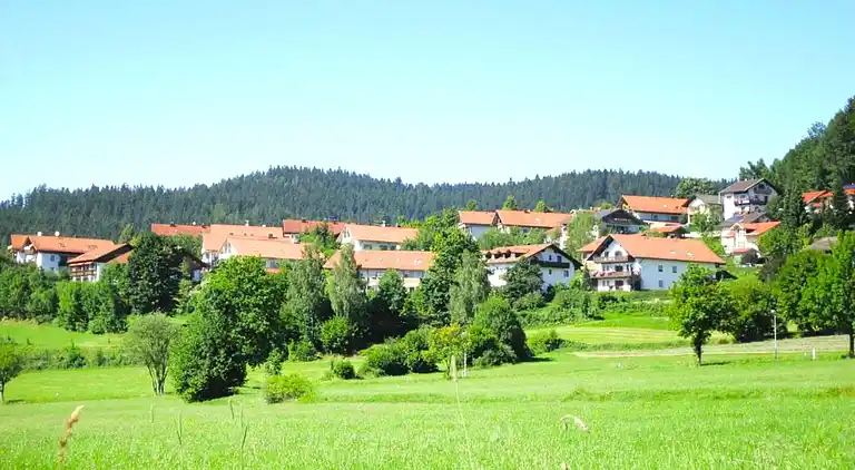 Ferienwohnung in Langdorf