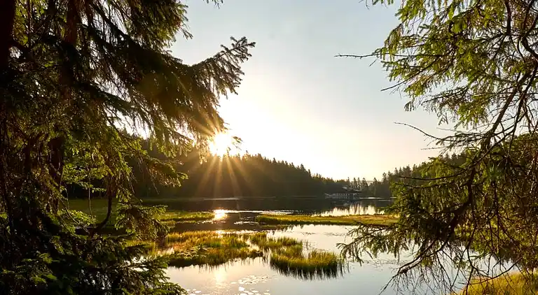 Ferienwohnung in Langdorf