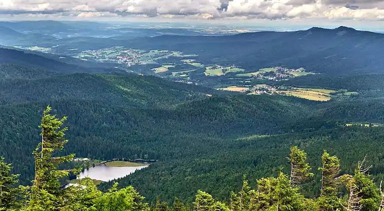 Ferienwohnung in Langdorf