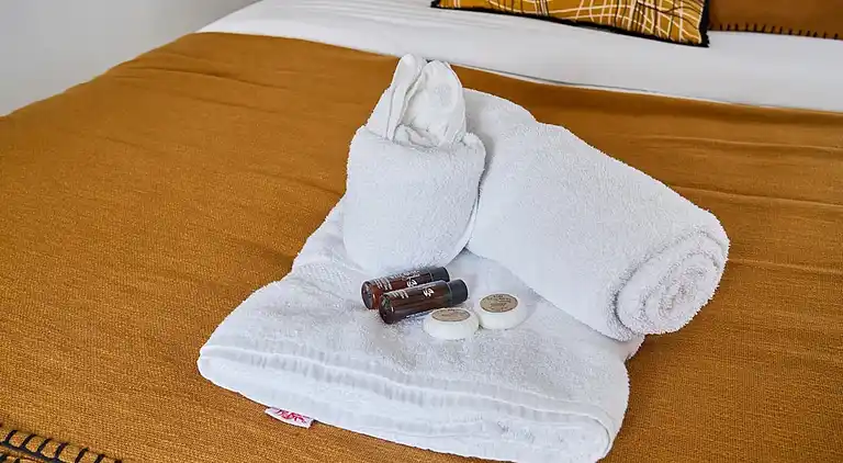 Apartment in Saint Gervais