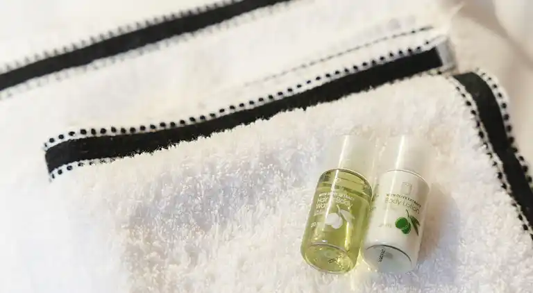 Apartment in Saint-Ambroise