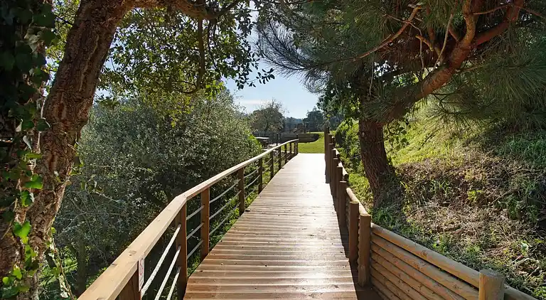 Villa i Salir de Matos