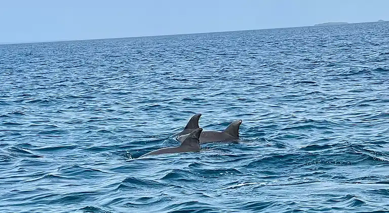 Wagawimbi Villa 560 m2, Vue à couper le souffle sur l'Océan