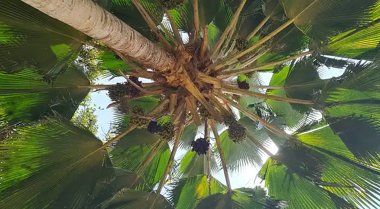 Wagawimbi Villa 560 m2, Vue à couper le souffle sur l'Océan