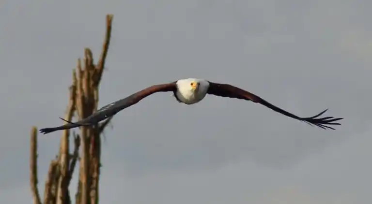 Wagawimbi Villa 560 m2, Vue à couper le souffle sur l'Océan