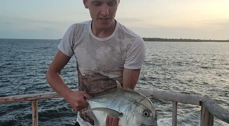 Wagawimbi Villa 560 m2, Vue à couper le souffle sur l'Océan