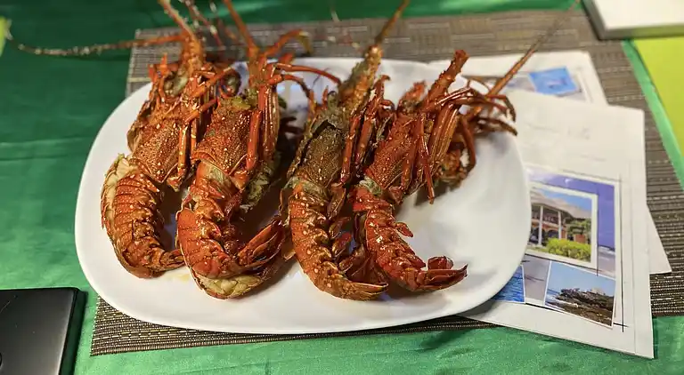 Wagawimbi Villa 560 m2, Vue à couper le souffle sur l'Océan