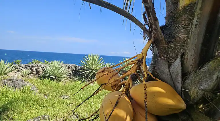 Wagawimbi Villa 560 m2, Vue à couper le souffle sur l'Océan