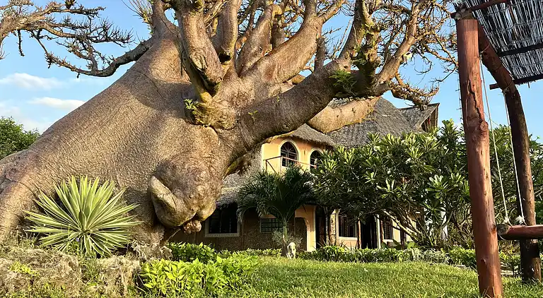 Wagawimbi Villa 560 m2, Vue à couper le souffle sur l'Océan