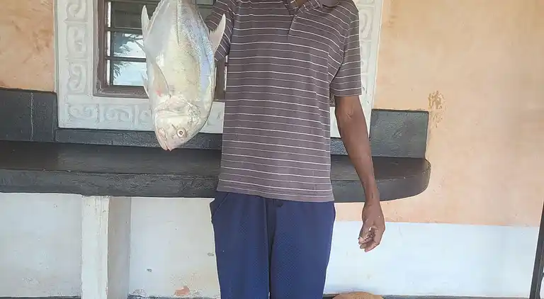 Wagawimbi Villa 560 m2, Vue à couper le souffle sur l'Océan