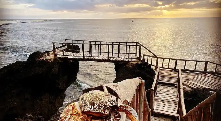 Wagawimbi Villa 560 m2, Vue à couper le souffle sur l'Océan