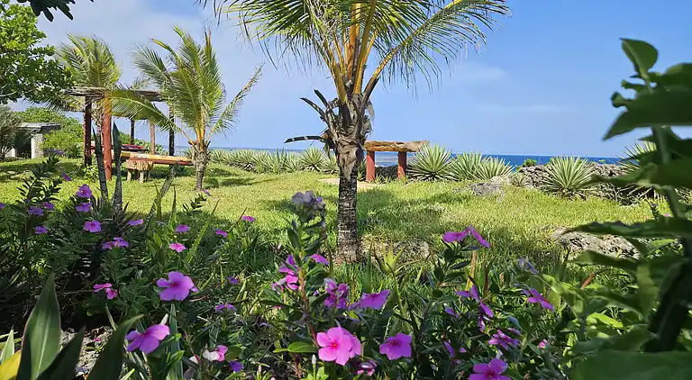 Wagawimbi Villa 560 m2, Vue à couper le souffle sur l'Océan