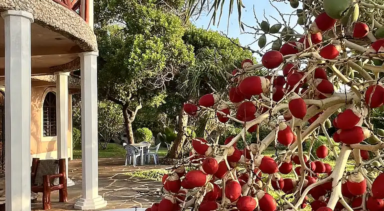 Wagawimbi Villa 560 m2, Vue à couper le souffle sur l'Océan