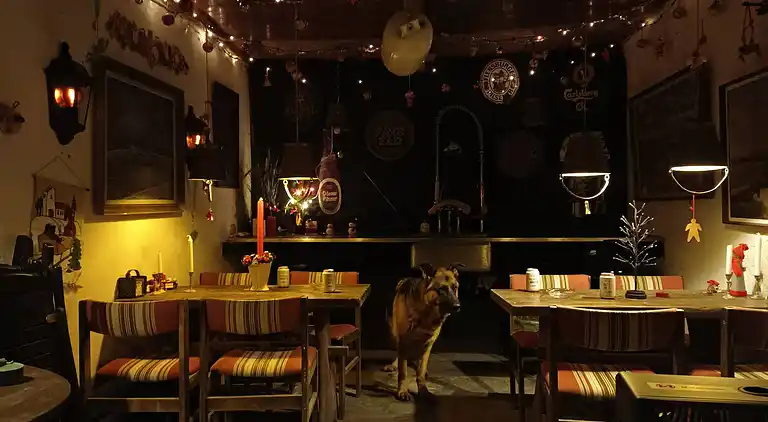 Gemütliche Whg. nahe Strände/Angeln