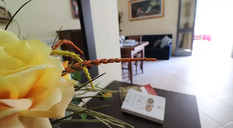 Casa Vacanze Palma — Comfort, Space and Authentic Charm in