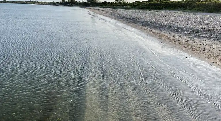 Naturskønt sommerhus med plads til hele familien