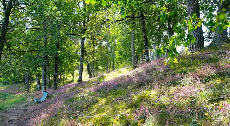 Feriebolig i Saint-Privat