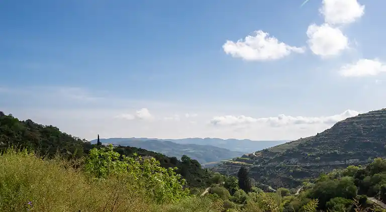 Arsorama Sweet Studio Apt w Shared Patio