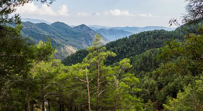 Arsorama Sweet Studio Apt w Shared Patio