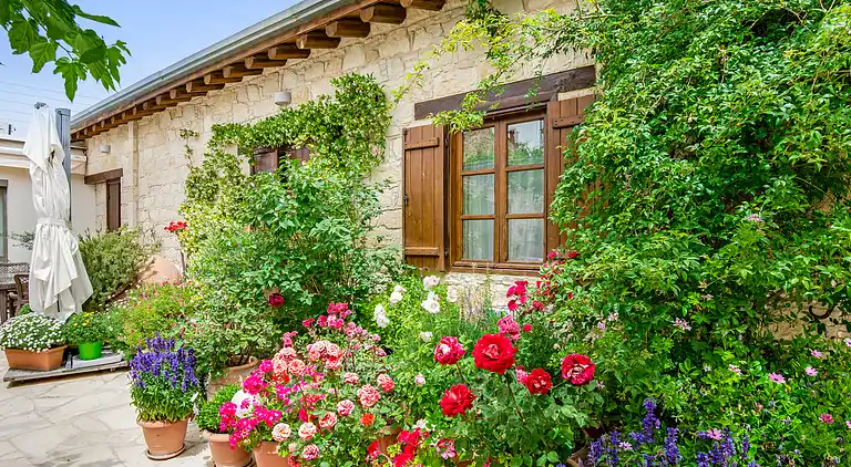 Arsorama Sweet Studio Apt w Shared Patio