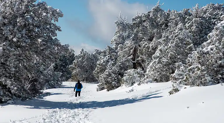 Arsorama Sweet Studio Apt w Shared Patio