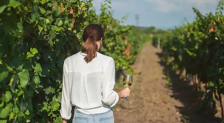 Arsorama Sweet Studio Apt w Shared Patio