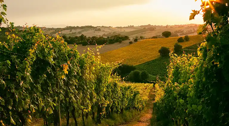 Arsorama Sweet Studio Apt w Shared Patio