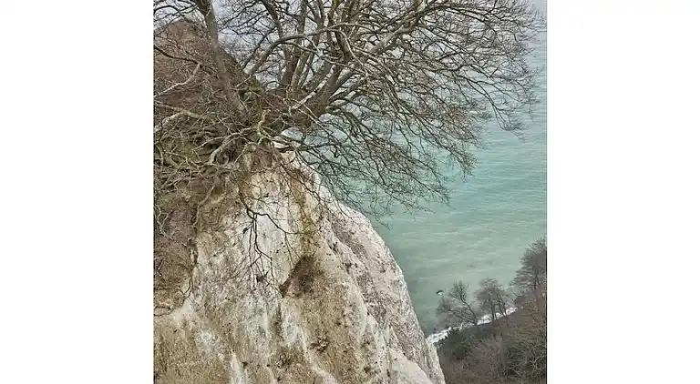 Ferienhaus in Buchberg