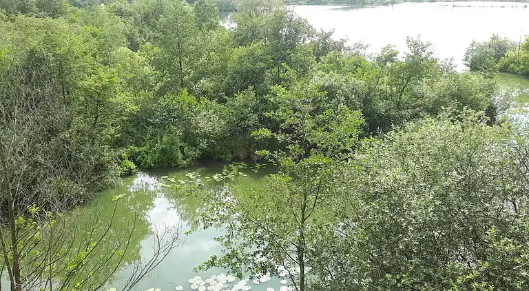 Ferienhaus in Buchberg