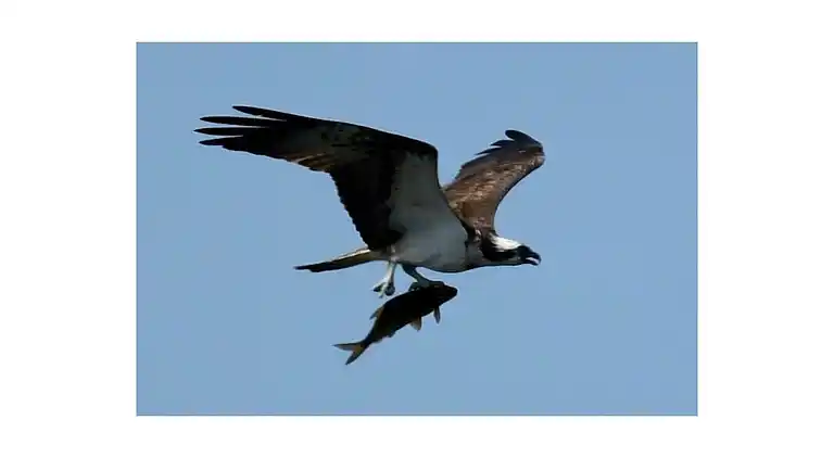 Ferienhaus in Buchberg