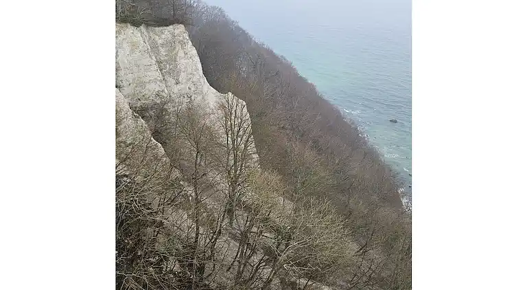 Ferienhaus in Buchberg