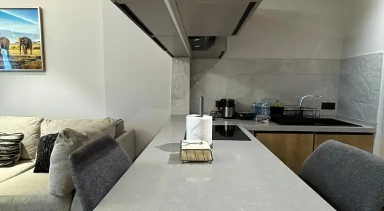 Diamond in The City, One-Bedroom Apartment