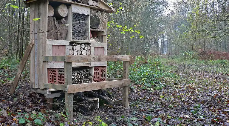 Hytte i Oignies-en-Thiérache