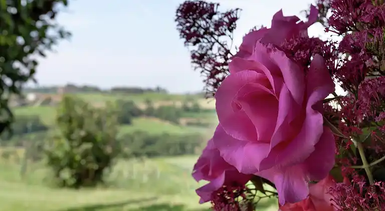 Casa de vacaciones en Foiano della Chiana