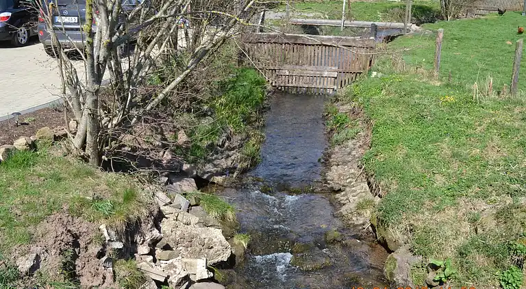 Apartment in Halenfeld