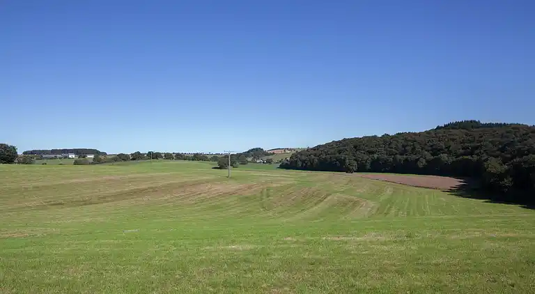 Apartment in Halenfeld