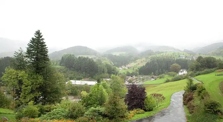 Ferielejlighed i Bad Peterstal-Griesbach