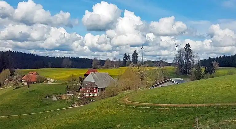Ferienhaus in Langenschiltach