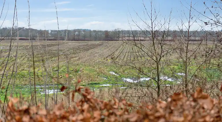 Byhus med Naturen som nabo