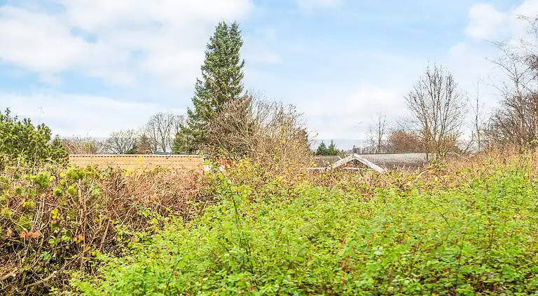 Sommerhus ved Bønnerup Strand
