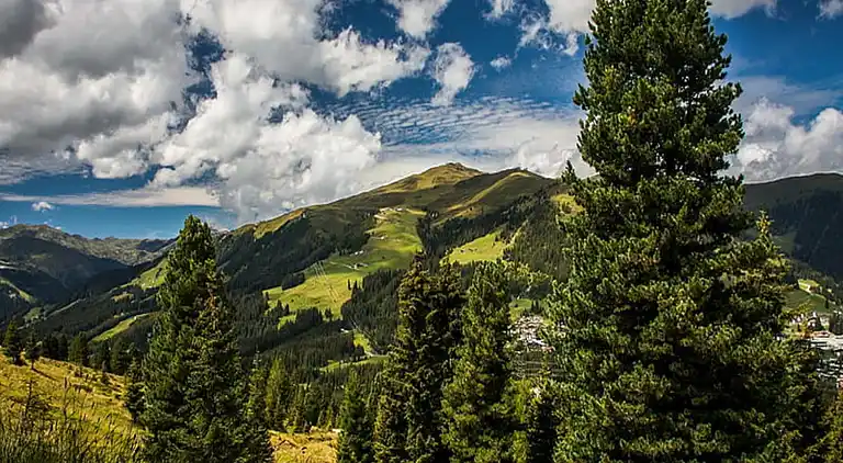 Holiday home in Wald im Pinzgau