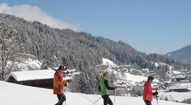 Cottage in Wald im Pinzgau