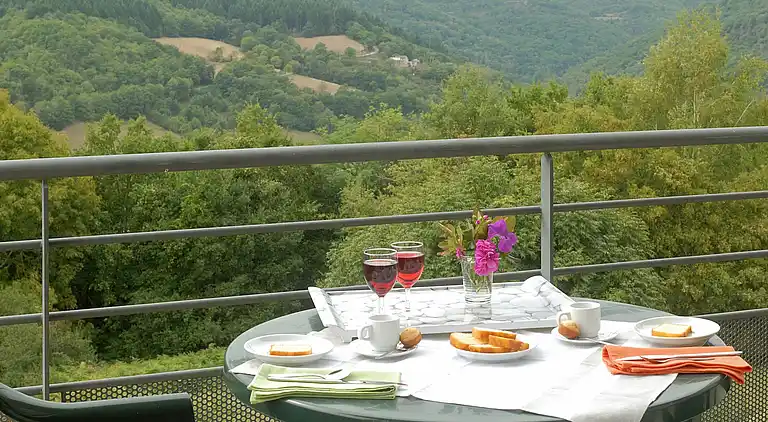 Holiday home in Valence-d'Albigeois