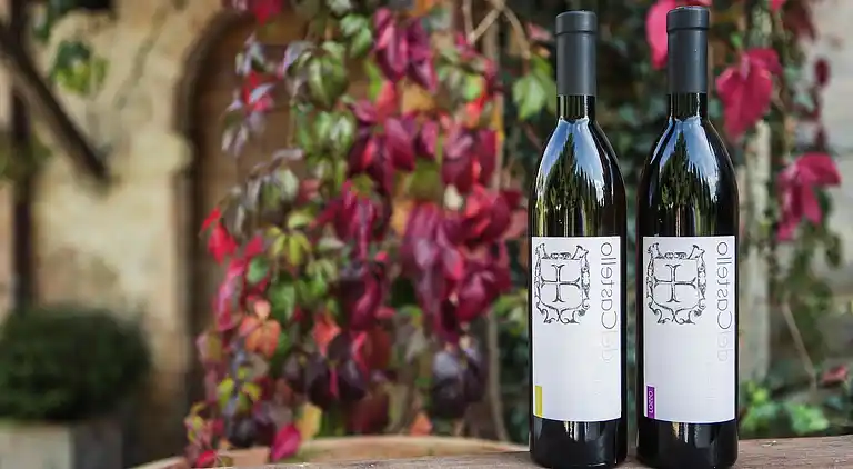 Gårdhus i Marsciano