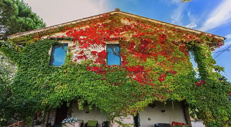 Gårdhus i Marsciano