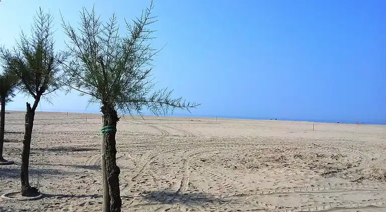 Lägenhet i Rosolina Mare