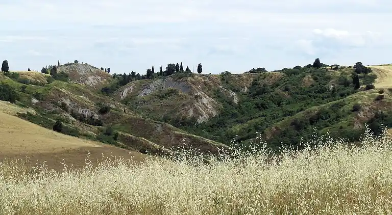 Holiday home in Peccioli