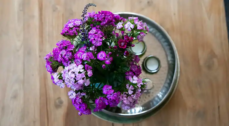 Vakantiehuis in 't Zand