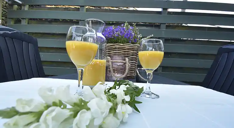 Vakantiehuis in 't Zand